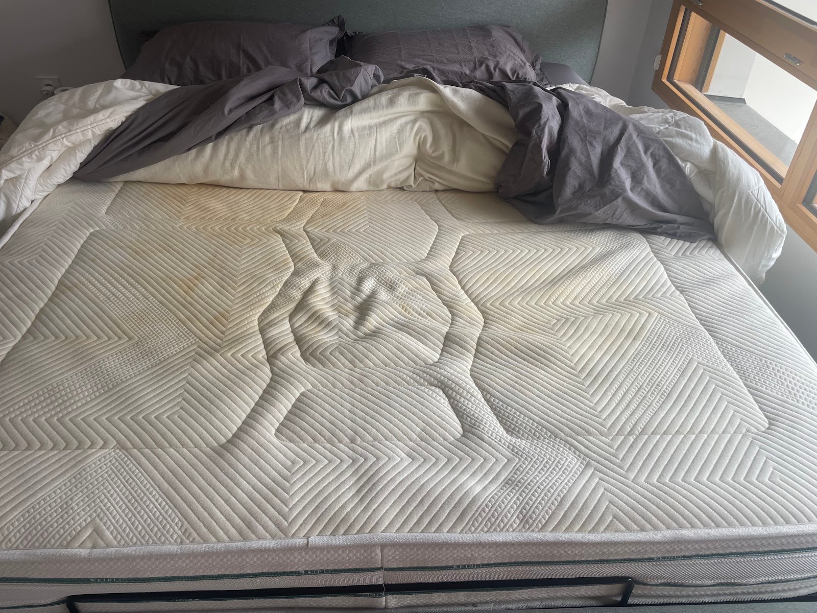 Photo du professionnel 5