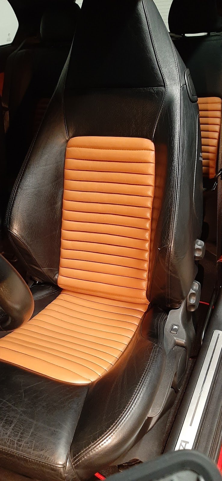 Photo du professionnel 5